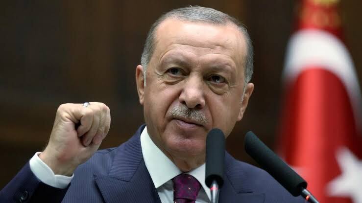 Erdoğan: Libya ile deniz yetki alanı anlaşmasına yönelik eleştiriler temelsiz