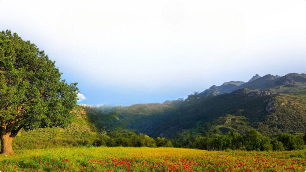 Erbil Sanayi