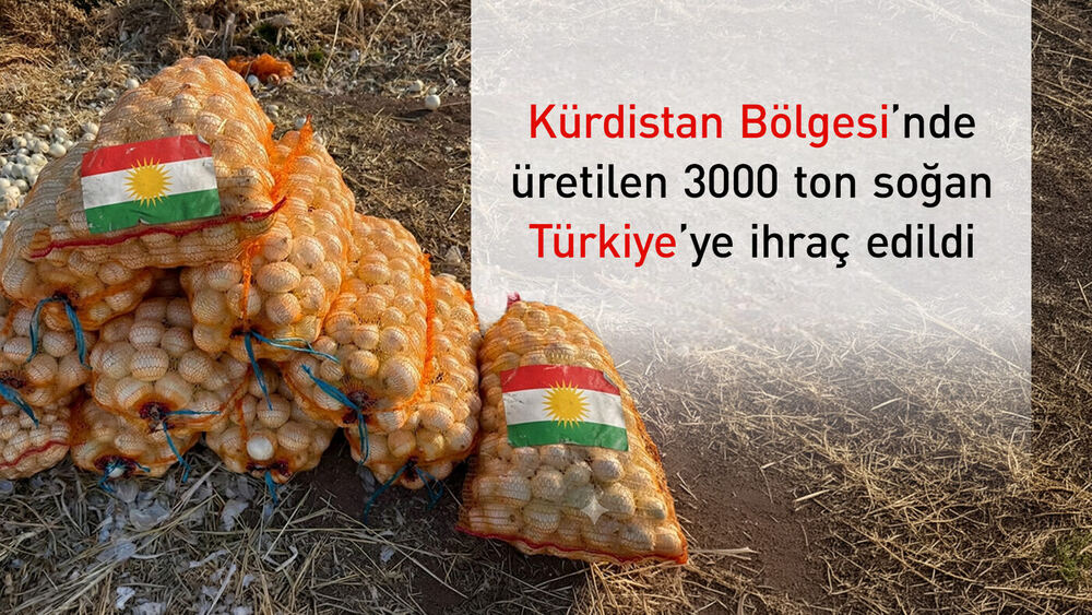 Kürdistan Bölgesi’nden Türkiye’ye Soğan İhracatı