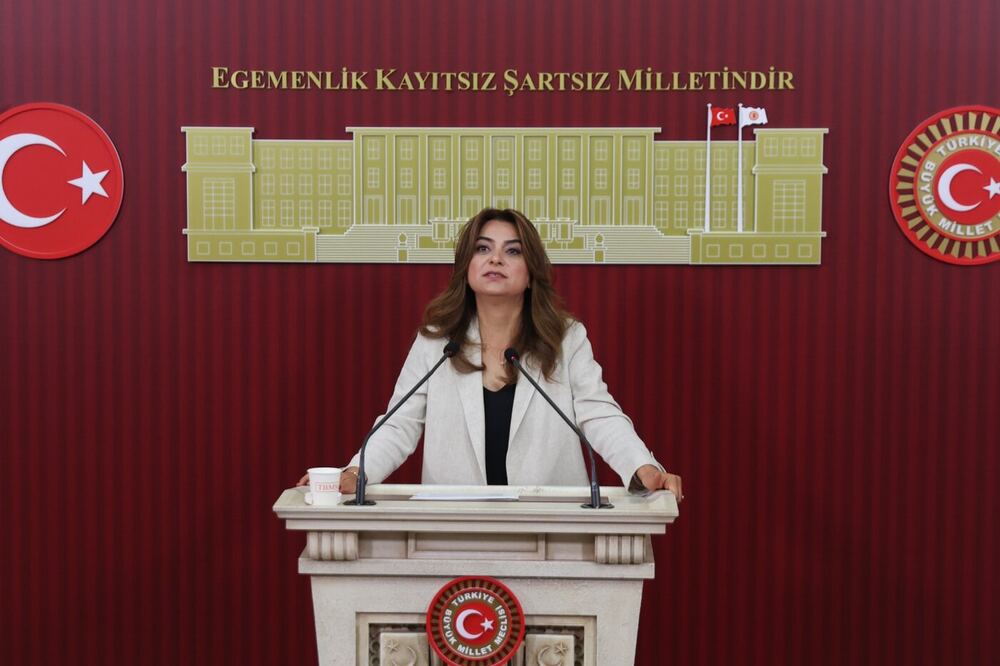 DEM Parti'den Çerçeve Yasa Mesajı