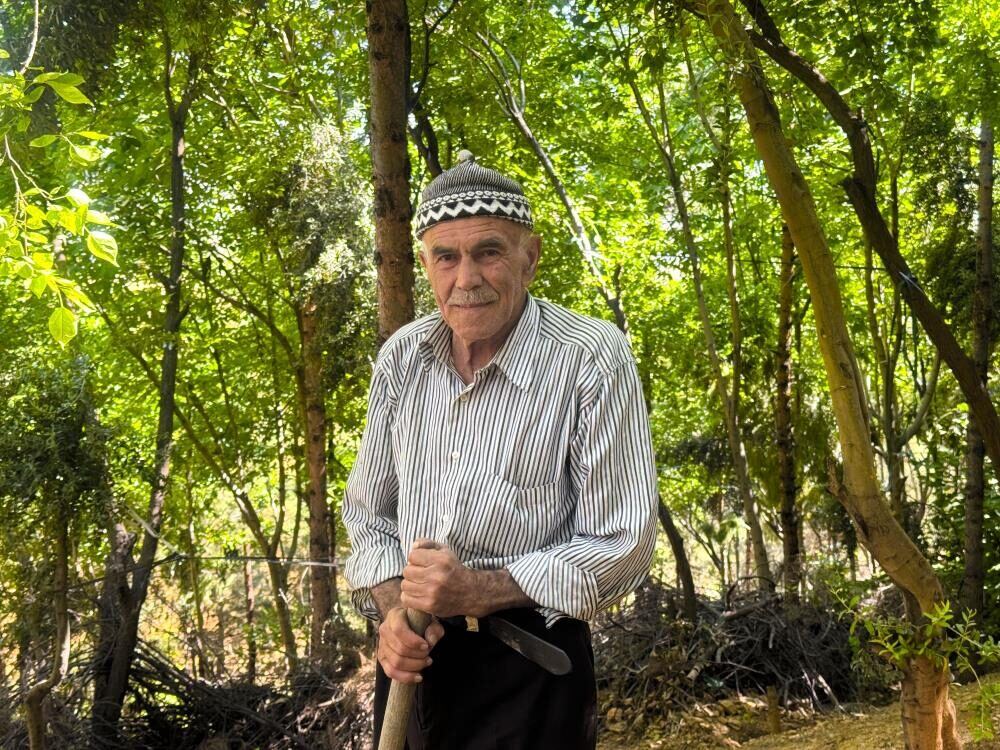 Kurak Araziyi Oksijen Sahası Yaptı