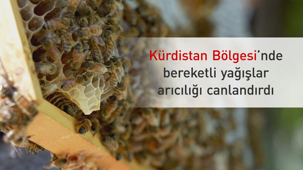Kürdistan Yaylalarında Bal Bereketi