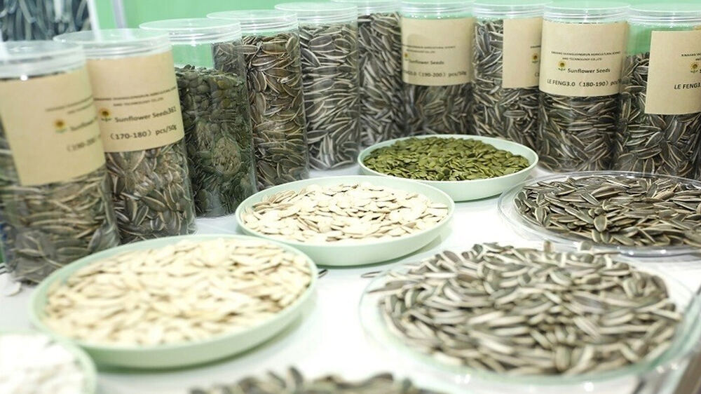 Çekirdek Kabuğu Tehlikesi