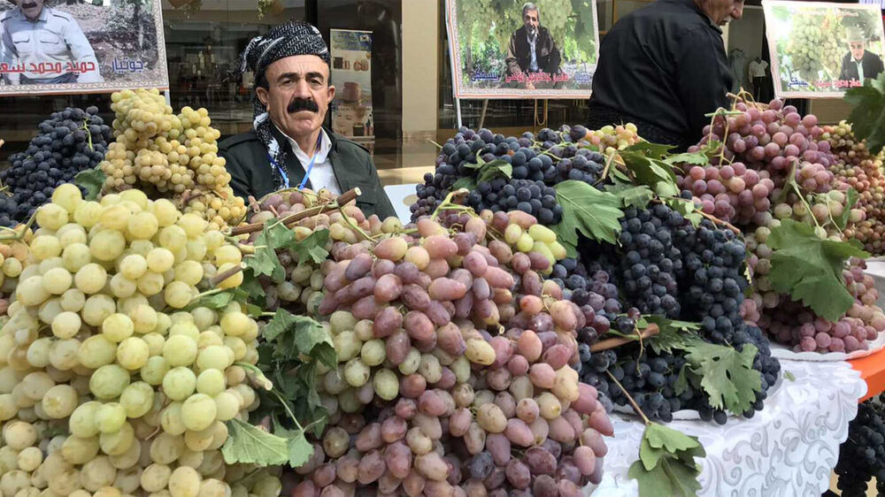 Duhok’ta 19. Üzüm ve Bal Festivali için geri sayım başladı