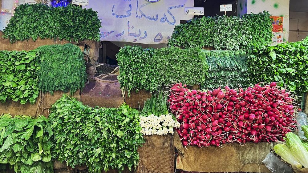 Kürdistan Bölgesi, 1 Milyon Ton Tarım Ürünüyle Irak Pazarını Besliyor