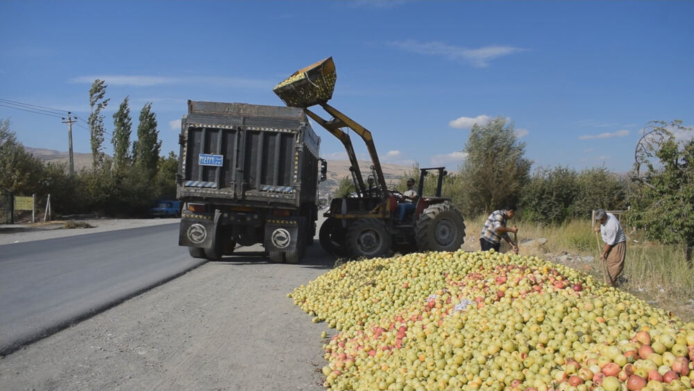 Urmiye'de hasat öncesi ağaç dibi elmalar fabrikalara akıyor
