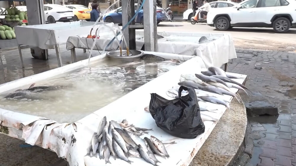 Irak Çevre Bakanı'nın açıklaması Bağdat'taki balık pazarını durdurdu