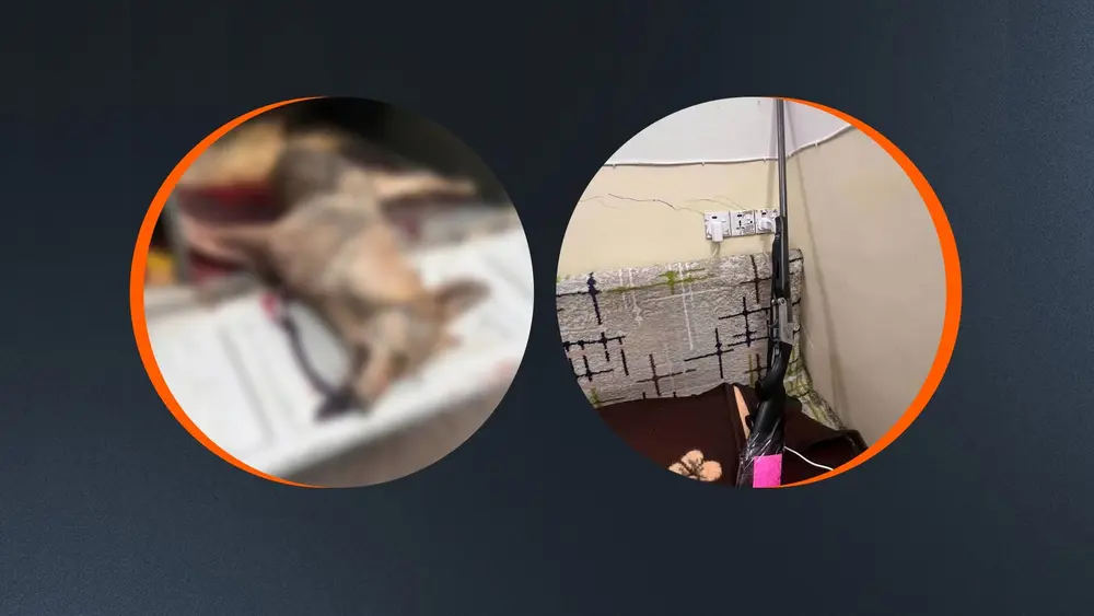 Germiyan'da bir avcı vurduğu kurt nedeniyle gözaltına alındı