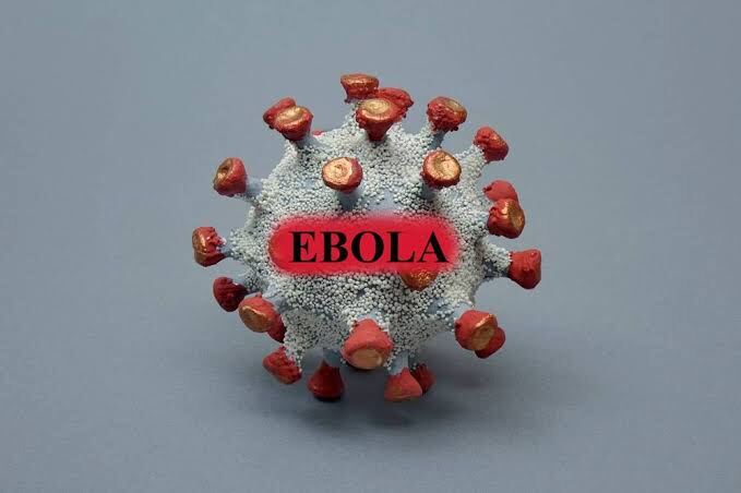 Nijerya'da 10 Yıl Sonra İlk Ebola Vakası Tespit Edildi