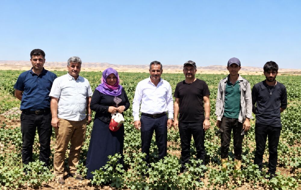 Rewitiyeke ber bi Dîyarbekirê ve