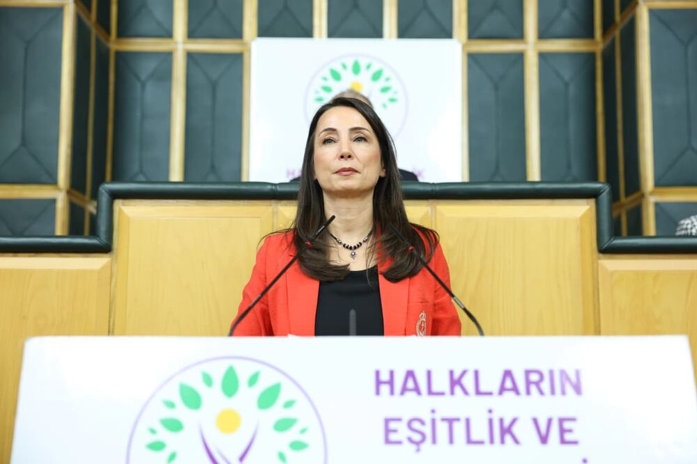 DEM’in Hatimoğulları: Türkiye asker yerine diplomasiyle Orta Doğu’ya yön vermeli